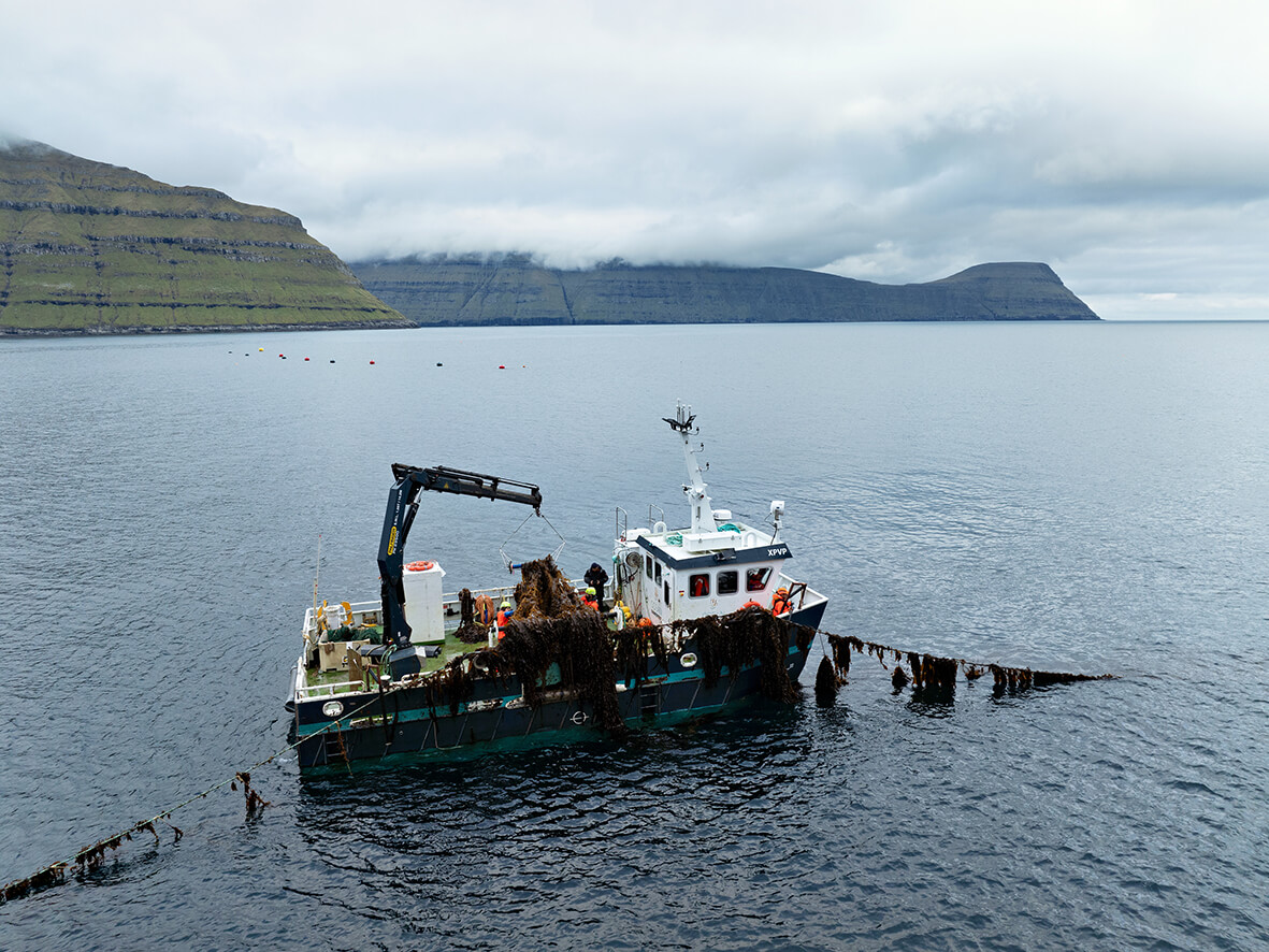 Crane on boat 4-3