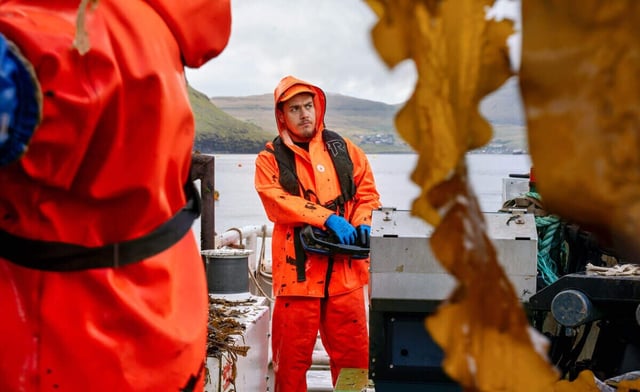 Scanreco-industry-Maritime-seeweed-harvesting-cropped