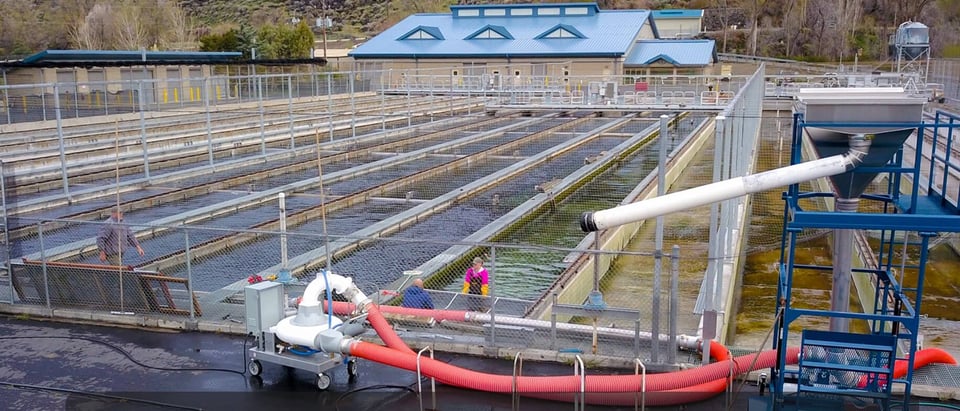 aqua-pump-system