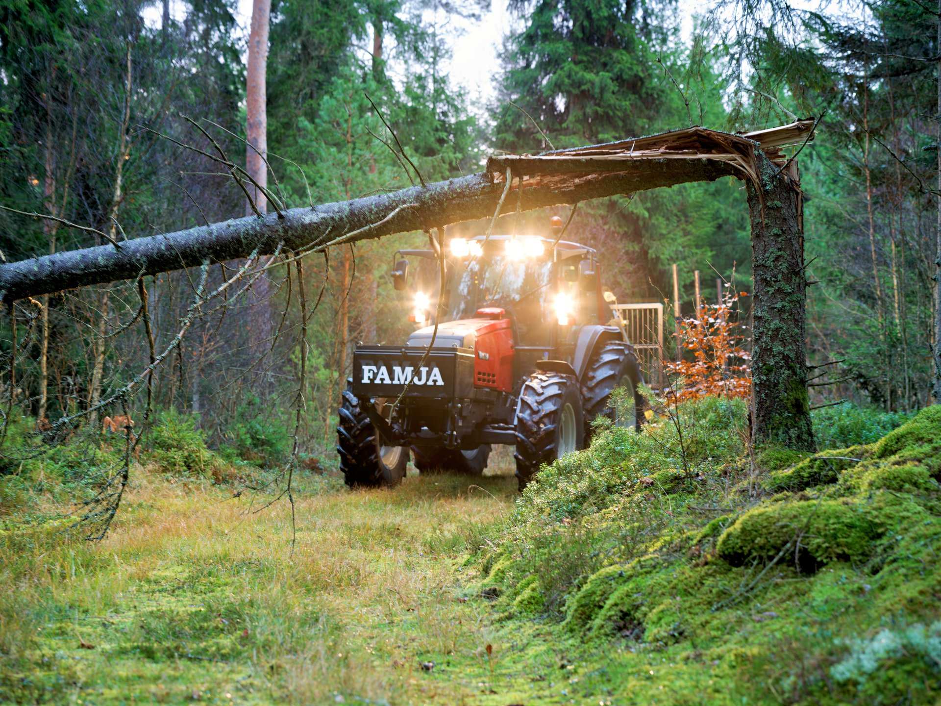 Traktor with forestry crane wagon in a forest